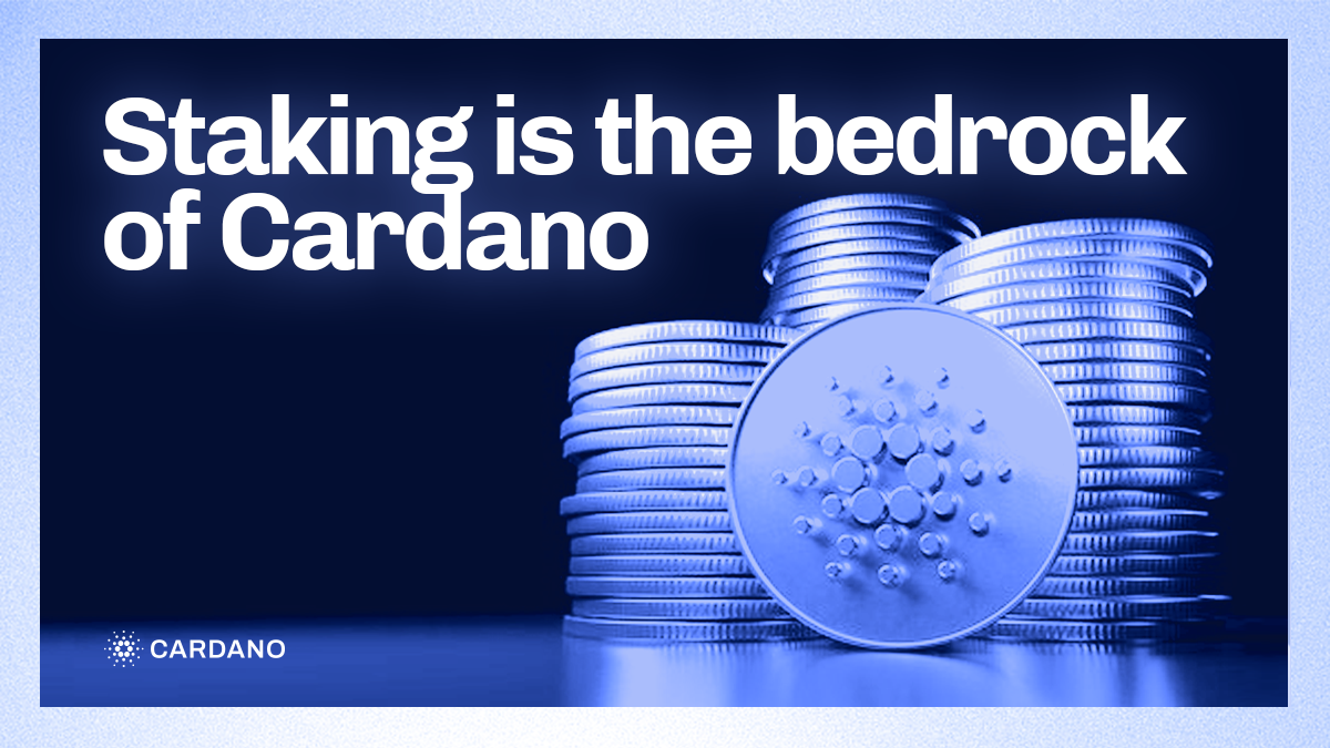 What is Staking? How does it work with Cardano? A deep guide!